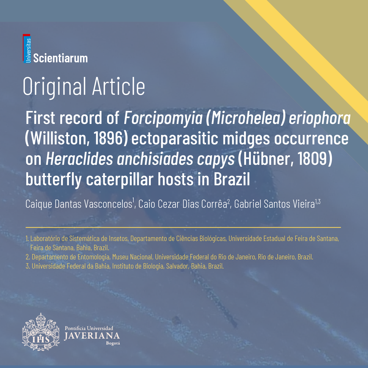 First record of Forcipomyia (Microhelea) eriophora (Williston, 1896) ectoparasitic midges occurrence on Heraclides anchisiades capys (Hübner, 1809) butterfly caterpillar hosts in Brazil doi: 10.11144/Javeriana.SC292.frof